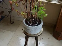 Houten ladenkast 5 laden, ijzeren tafeltje dambord blad, houten plantenstaander, barometer, 4 bloempotten met planten, diverse sierstukken - afbeelding 10 van  12