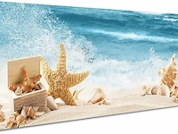 Houten omlijsting zeester in een doos zeegolf canvas - afbeelding 1 van  3