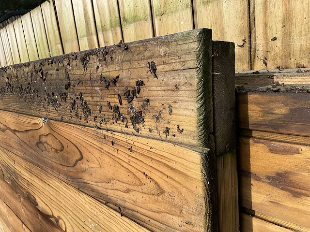 Houten poort 150x176 - afbeelding 6 van  8