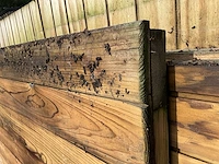Houten poort 150x176 - afbeelding 6 van  8