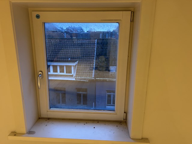 Houten rechts opendraaiend raam - dubbel glas (3de verdiep) - afbeelding 1 van  1