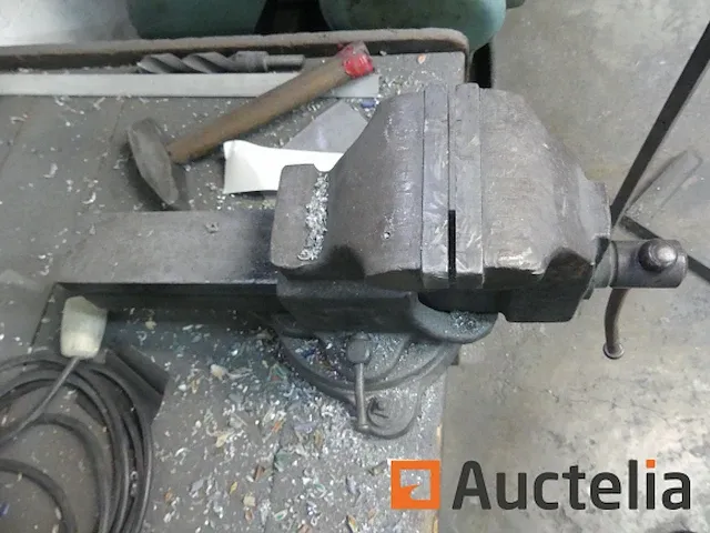 Houten werkbank met bankschroef, 2 metaal kasten 2 deuren - afbeelding 5 van  9