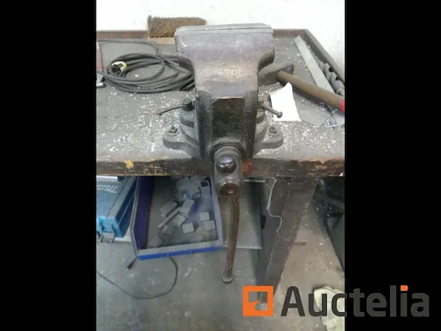 Houten werkbank met bankschroef, 2 metaal kasten 2 deuren - afbeelding 9 van  9