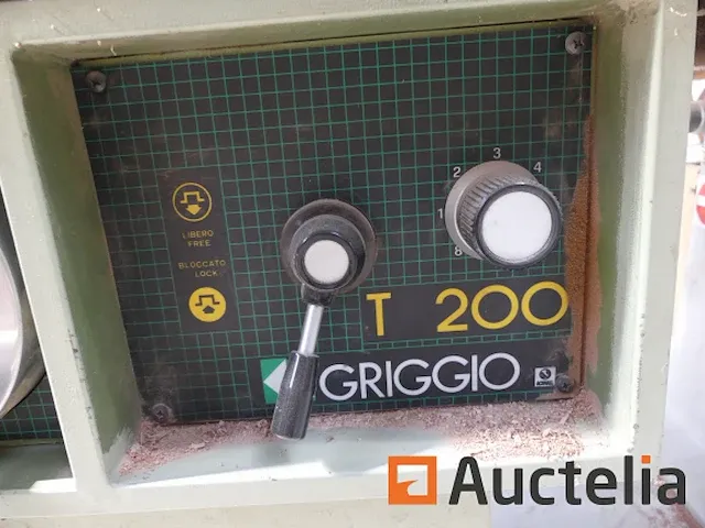 Houtfreesmachine griggio t200 - afbeelding 15 van  19