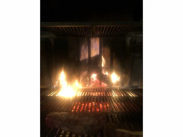 Houtgrill - afbeelding 10 van  10