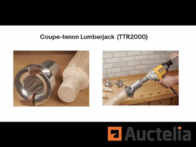 Houthakker ttr2000 tenon snijder - afbeelding 1 van  1