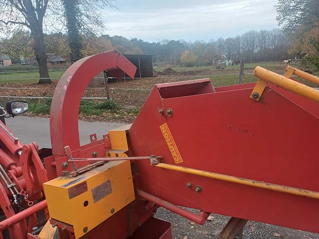 Houthakselaar yellow-red - afbeelding 1 van  7