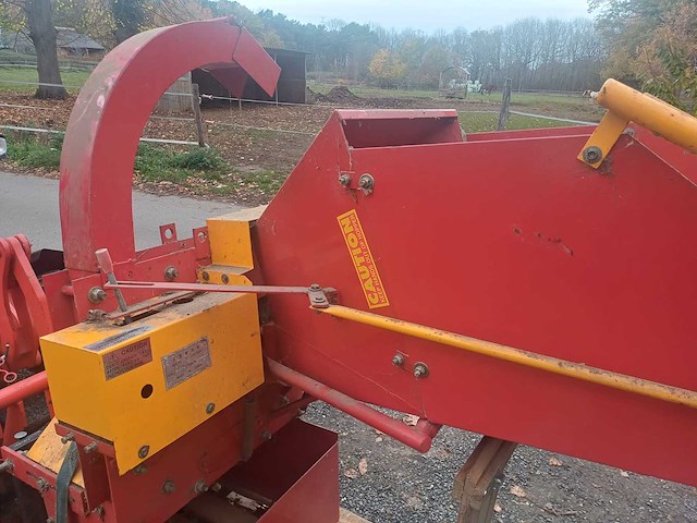 Houthakselaar yellow-red - afbeelding 4 van  7