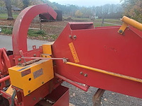 Houthakselaar yellow-red - afbeelding 4 van  7