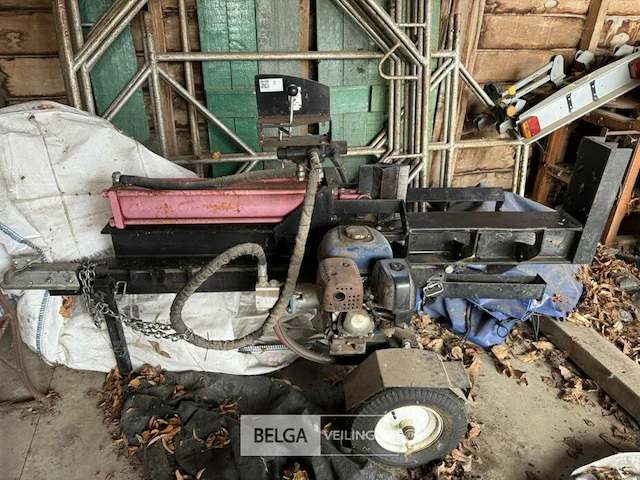 Houtkliever - afbeelding 1 van  4