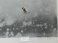Hugo heyrman - afbeelding 3 van  4