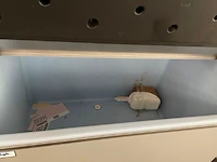 Ice-o-matic bunker + bintop - afbeelding 3 van  5
