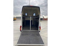 Ifor williams - hbe506 - paarden aanhangwagen - afbeelding 4 van  23