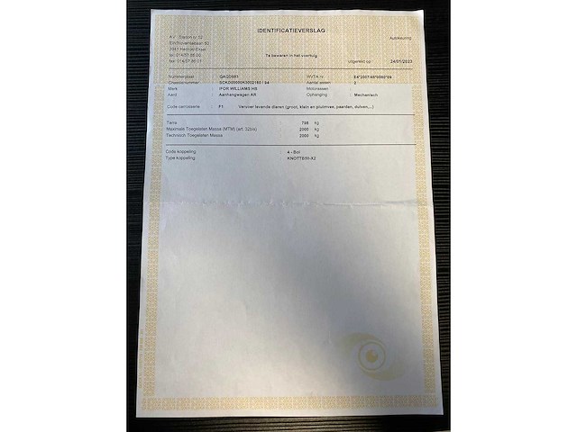 Ifor williams - hbe506 - paarden aanhangwagen - afbeelding 10 van  23