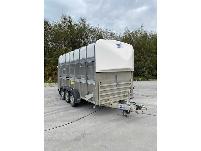 Ifor williams - ta510g14/3 7' l/r - ifor williams ta510g14/3 7 l/r veetrailer - 2021 - afbeelding 22 van  28
