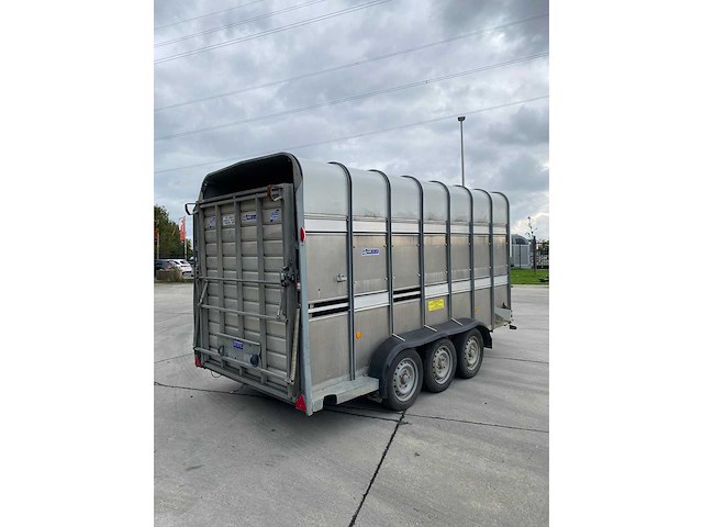 Ifor williams - ta510g14/3 7' l/r - ifor williams ta510g14/3 7 l/r veetrailer - 2021 - afbeelding 24 van  28
