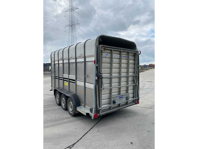 Ifor williams - ta510g14/3 7' l/r - ifor williams ta510g14/3 7 l/r veetrailer - 2021 - afbeelding 26 van  28