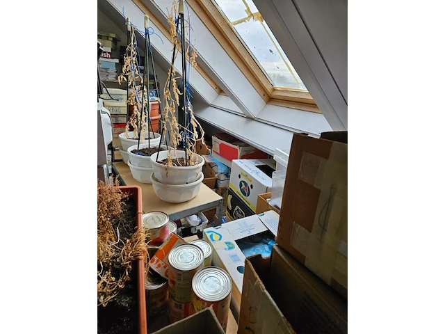 Inboedel appartement - afbeelding 25 van  29
