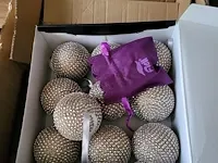 Inboedel winkel dameskledij - afbeelding 29 van  37