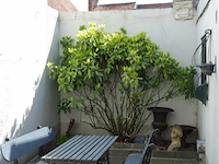 Inboedel woning knokke-heist - afbeelding 13 van  50