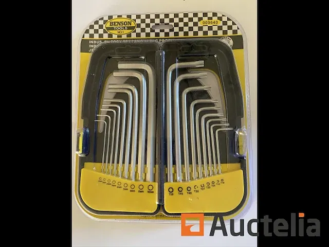 Inbus en torx set in koffer - afbeelding 1 van  3