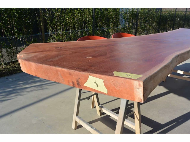 Indian mahogany - boomstam tafelblad - afbeelding 3 van  7