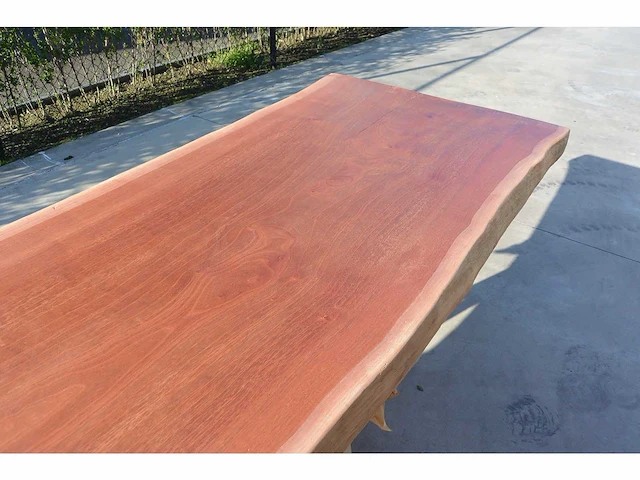Indian mahogany - boomstam tafelblad - afbeelding 5 van  7