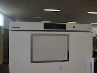 Industriele diepvries wit liebherr - afbeelding 3 van  4