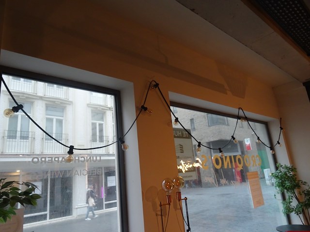 Industriele lichtarmatuur + decoratieve verlichting - afbeelding 5 van  7