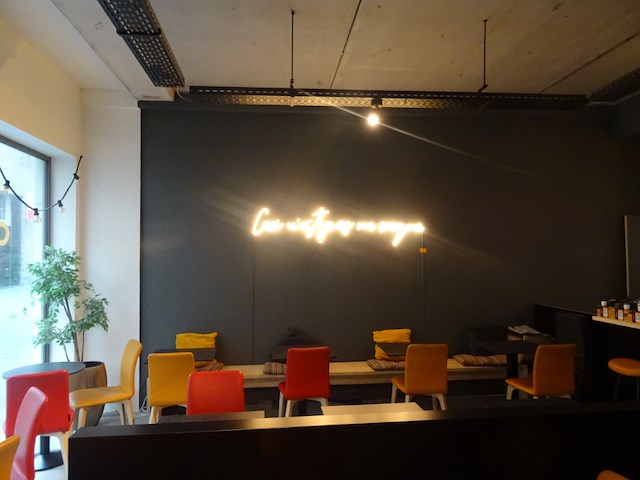 Industriele lichtarmatuur + decoratieve verlichting - afbeelding 6 van  7