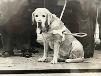 Ingelijste foto - afbeelding 3 van  8
