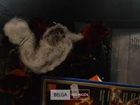 Inhoud bak partij div halloween deco - afbeelding 2 van  6