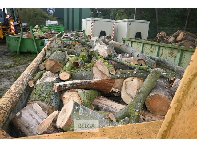 Inhoud container stookhout. - afbeelding 2 van  5