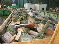 Inhoud container stookhout. - afbeelding 2 van  5