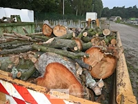 Inhoud container stookhout. - afbeelding 3 van  5