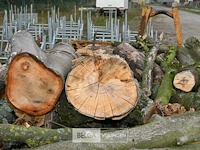 Inhoud container stookhout. - afbeelding 5 van  5