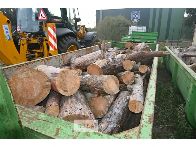 Inhoud container stookhout. - afbeelding 1 van  4