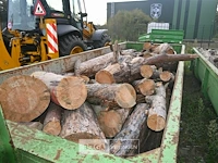 Inhoud container stookhout. - afbeelding 1 van  4