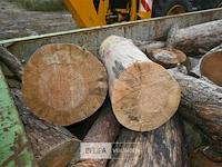 Inhoud container stookhout. - afbeelding 2 van  4