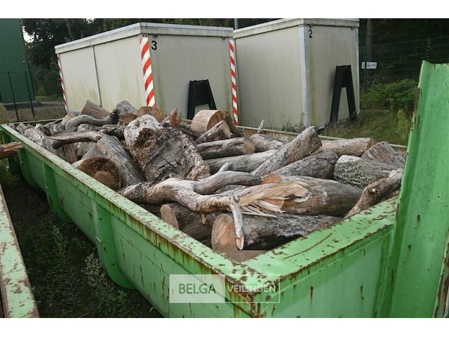 Inhoud container stookhout. - afbeelding 1 van  5