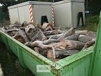 Inhoud container stookhout. - afbeelding 1 van  5