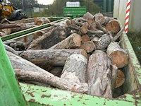 Inhoud container stookhout. - afbeelding 2 van  5