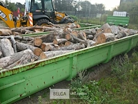Inhoud container stookhout. - afbeelding 3 van  5