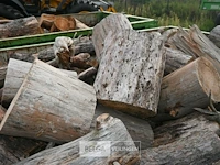 Inhoud container stookhout. - afbeelding 5 van  5
