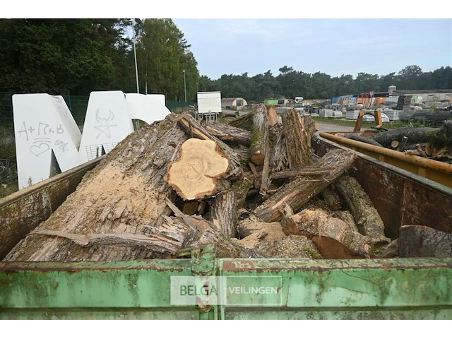 Inhoud container stookhout. - afbeelding 2 van  5