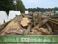 Inhoud container stookhout. - afbeelding 2 van  5