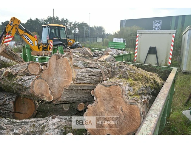 Inhoud container stookhout. - afbeelding 3 van  5