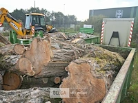 Inhoud container stookhout. - afbeelding 3 van  5