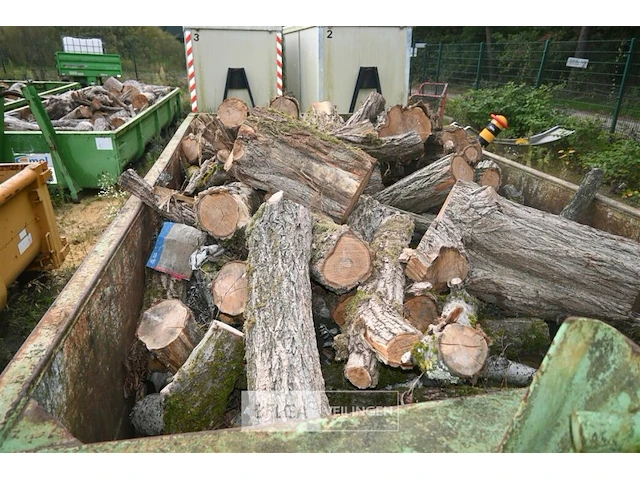 Inhoud container stookhout. - afbeelding 5 van  5