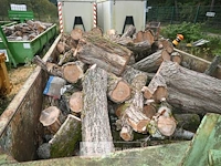 Inhoud container stookhout. - afbeelding 5 van  5